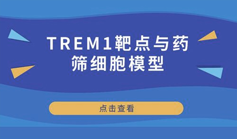 先驅(qū)還是先烈-TREM1靶點與藥篩細胞模型